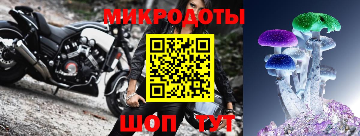 Галлюциногенные грибы Psilocybe  Вход с VPN  Батайск  купить наркоту  Галлюциногенные грибы MAGIC MUSHROOMS 